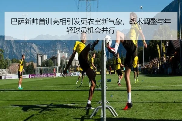 img_1781894322098_141_0_973.jpg(maiqiu)